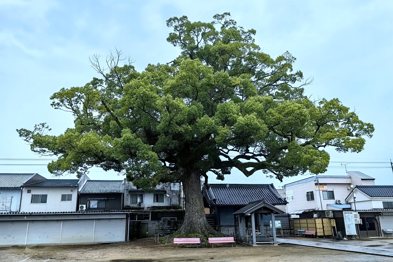 四國遍路-補陀落山長尾寺